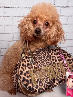 NWT Paris Hilton Leopard Print Purse with Gold Accents (modeled by Bambi)